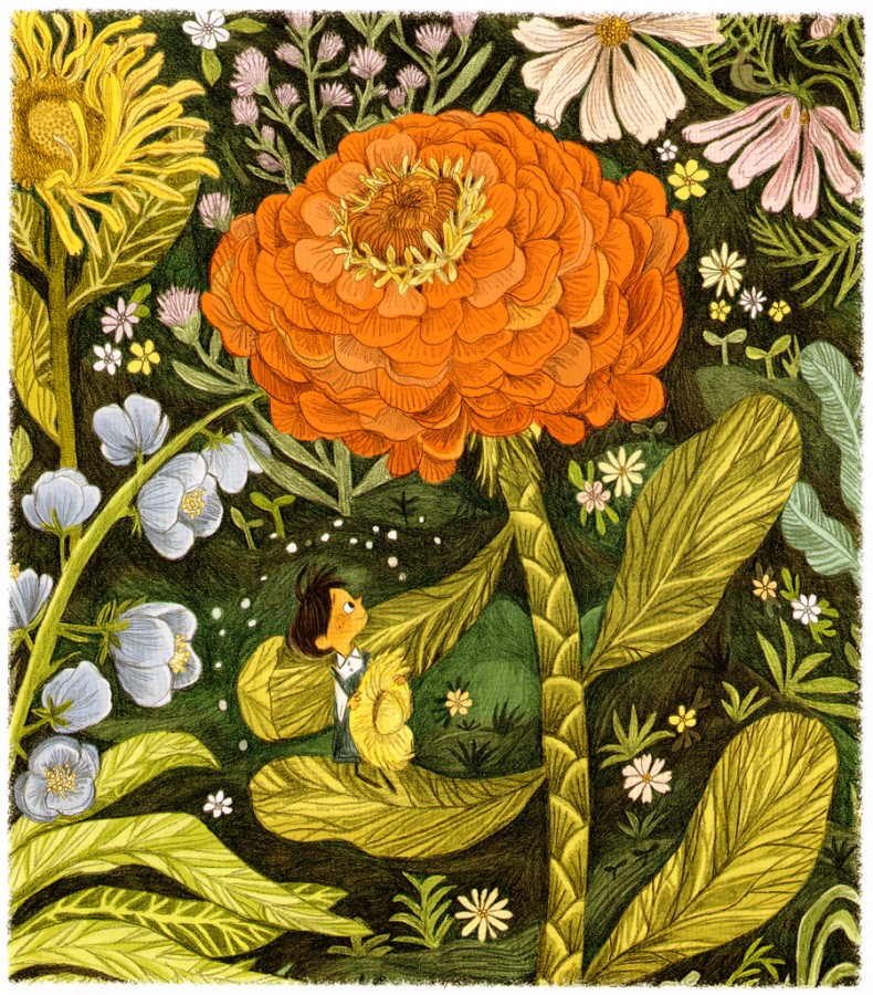 emily hughes